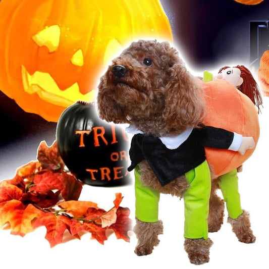 Pet Dog Pumpkin Halloween Costume-Free Shipping